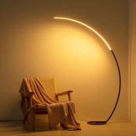 New Vision Modern Curve Floor Lamp