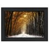 "Autumn to Winter" By Martin Podt; Printed Wall Art; Ready To Hang Framed Poster; Black Frame