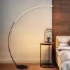 New Vision Modern Curve Floor Lamp