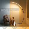 New Vision Modern Curve Floor Lamp