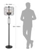 BLACK INDUSTRIAL WIRE CAGE FLOOR LAMP W/ EDISON BULB