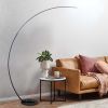 New Vision Modern Curve Floor Lamp