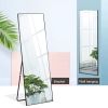 Full Length Mirror with Gold Aluminum Alloy Frame, 59" x 15.7"