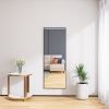 65" x 24" Wall Mounting Full Body Mirror